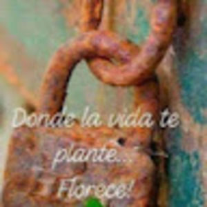 Meet your Posher, Adriana